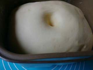 2、毛毛虫肉松面包,继续和面程序，开始基础发酵。面团发酵至2-2.5倍大。