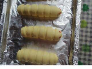 7、毛毛虫肉松面包,将卷好的面包稍做整形后放入烤盘，放在湿润温暖的地方进行二次发酵。