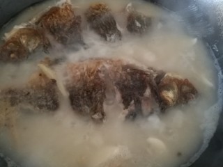 5、鲫鱼汤，你真的会煮吗？,加开水煮