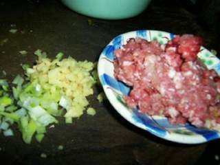 1、肉末酸豆角,葱姜切末，准备好猪肉馅。