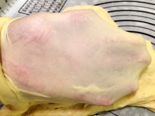 3、培根汉堡,检查面团，能拉出薄而不易破的手套膜即可