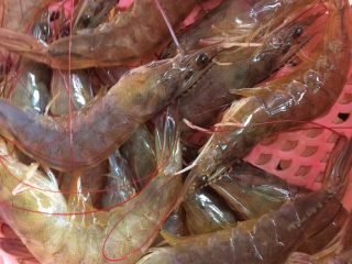 3、爱心虾冬瓜扣,洗干净煮熟，待用