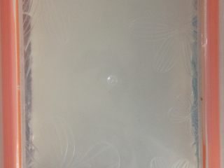 5、椰奶小方,放凉的椰奶倒入保鲜盒里，放冰箱冷藏三四个小时