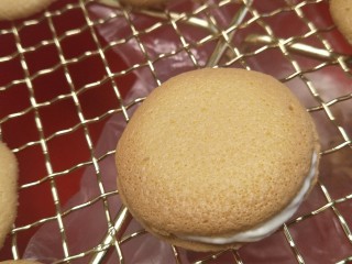 20、新手奶油小西饼——少油少糖,一个盖上一个做成小西饼的样子。