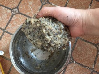 12、酥炸鱼球,然后抓起鱼泥从高处往打蛋盆里用力甩打,反复50来次