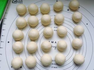 5、酸奶小餐包,并用手搓圆。