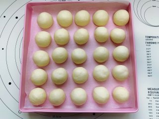 6、酸奶小餐包,依次将所有的小面团搓圆,整齐地排入烤盘里,中间隔开一定的距离,接着放入温度为36度,湿度为75%的温暖环境中进行第二次发酵。