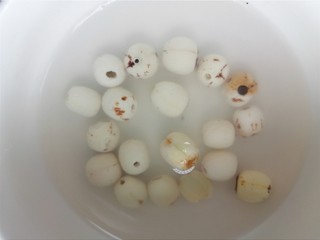 3、红枣黑米粥,莲子也提前浸泡