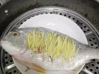 5、清蒸鱼,切点姜丝放在鱼上面，然后拿个蒸锅坐上水就可以开始蒸了，大火烧开后关中火再蒸15分钟