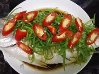 8、清蒸鱼,淋上蒸鱼豉油后把葱丝和红辣椒放上去