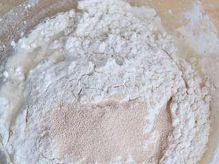 5、葡萄干麻糬软欧,加入高粉和干酵母，和成面团。