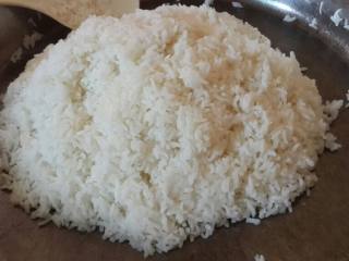 1、紫菜卷寿司,1加调味蒸一盘饭，根据个人口味加醋。