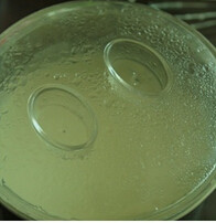 3、酸奶雪糕,将做好的雪糕液放进冰箱冷冻