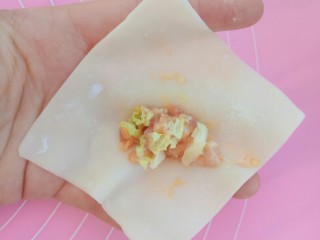 8、白菜猪肉小馄饨（内附馄饨四种详细包法）,第二种包法，将肉馅放在馄饨皮中间
