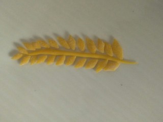 16、面条仔(宝宝辅食),像是一个金色麦穗吗????