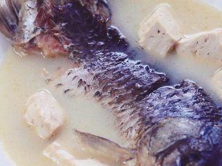 7、奶白鲫鱼豆腐汤,????小贴士：其实想要快速得到奶白色的汤，就是加蛋黄酱，鸡蛋黄中富含卵磷脂，它是天然乳化剂。把蛋黄酱加入沸水中搅匀，很容易得到乳白色的汤。