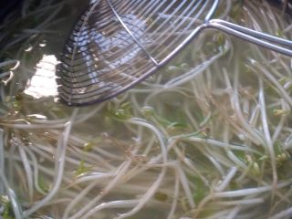 1、凉面,煮豆芽，煮好起锅备用！