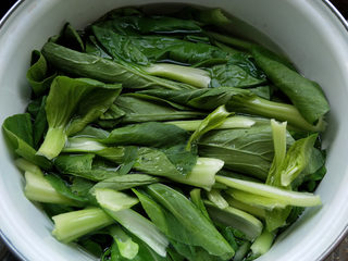 1、香菇青菜包子--不一样的做法,青菜洗干净，在开水里烫几秒钟。