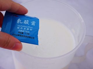 5、奶粉酸奶,再加入乳酸菌粉搅拌均匀