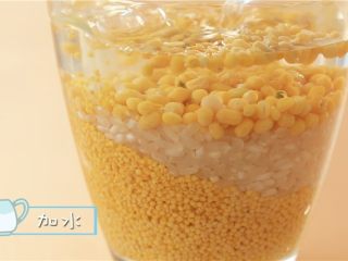1、粗粮粥,去皮绿豆、小米和大米提前泡3个小时 。