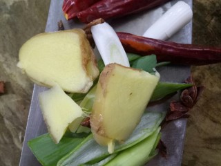 2、鸡肉炖土豆,葱姜大料·红辣椒