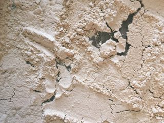 2、从小吃到大都吃不腻的黑芝麻桃酥,烤好的蛋糕粉有淡淡的麦香味，颜色变深。