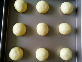 7、 红薯小面包,将面团平均分成18份，滚圆，摆入烤盘，放烤箱发酵