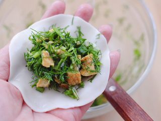 11、茴香油渣虾皮包,饺子皮放入适量的馅料。