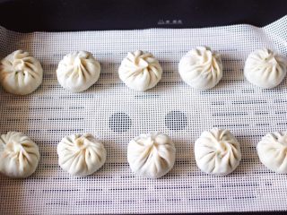 14、茴香油渣虾皮包,锅中倒入清水，大火烧开后，放入包好的茴香油渣虾皮包。