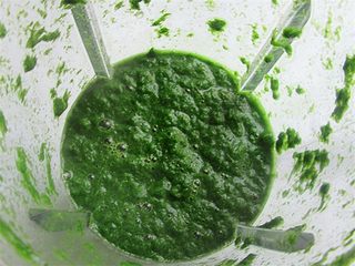 3、清明果,艾叶连同挤下的汁水取30克放进料理机一同打成浓汁