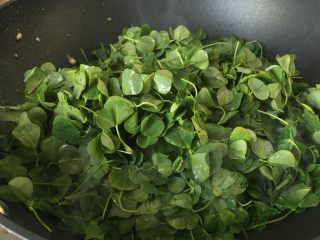 7、金花菜炒蛋,热锅热油放入金花菜