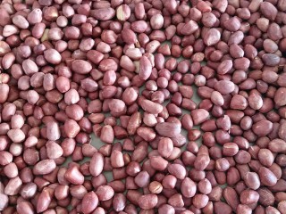 4、苏式伍仁月饼,花生用烤箱160度烘烤20分钟