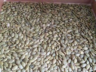 6、苏式伍仁月饼,南瓜子160度烘烤18分钟，它虽然个小，还是挺不容易熟的