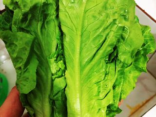 3、香酥黑椒手抓饼,生菜洗净、控干水分，摘取3片生菜叶子备用。