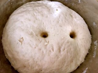 10、香葱鲜肉大包,手指沾干面粉插入面团不回缩不塌陷，发酵完成