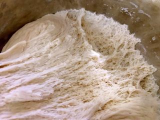 11、香葱鲜肉大包,发酵好的面团撕开有密集的小孔哦