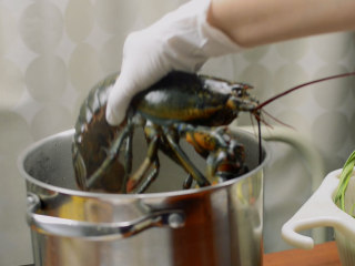 3、法式龙虾浓汤,波士顿龙虾入沸水煮10分钟左右。