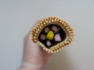 13、樱花寿司,用寿司帘卷成圆筒形。从开口处看一下。里面是否已经形成了樱花的形状。如果OK了~就在海苔边缘抹少许沙拉酱粘合，多余的海苔剪掉。做好放一旁备用。