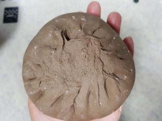 4、 天然酵种割口欧包,和包包子一样。