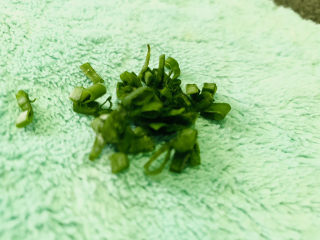 11、清蒸蛏子,葱切粒；