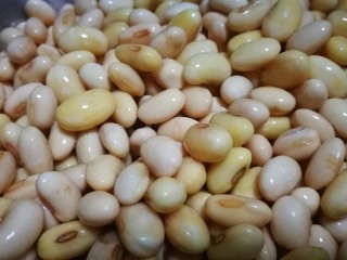 3、粤式靓汤~凉瓜黄豆猪骨汤,黄豆泡发一个晚上