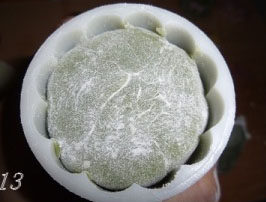 13、冰皮月饼,装入模具