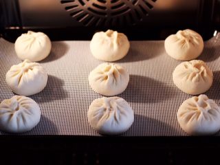 15、大葱猪肉发面包,依次包好所有的包子后，放入蒸箱进行二发，发至原来的1.5倍大时，启动蒸箱蒸15分钟焖5分钟即可。