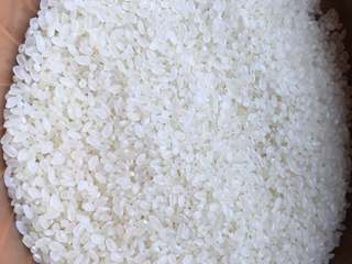 1、香香的杂粮核桃饭团,大米用这种圆圆的珍珠米比较好，有一定的黏性，又不至于太软烂，关键是煮熟后放一天也不会返生，是做寿司和饭团的好材料。