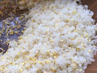 2、香香的杂粮核桃饭团,加入小米，一起淘洗干净，沥干水。