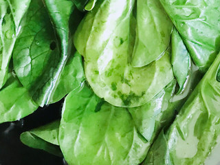 2、咸蛋黄肉松青团,菠菜取菜叶洗净，水烧开加入一点点盐，放入菠菜焯水变色捞出，再放入冷开水中过凉。