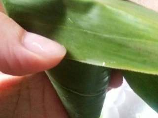 10、蜜枣什锦粽子,压实，盖好。