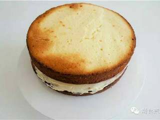 1、可爱到不忍下口的冰雪奇缘3D蛋糕|翻糖蛋糕教学,把蛋糕切成两半，最好利用分成切割器把蛋糕分成(表面会比较均匀)，其中一片蛋糕放转台上并抹上一层奶油，再盖上另一片蛋糕，