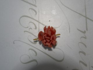 14、卡通小熊萝卜糕便当盒「14」,卷起来用意大利面固定。