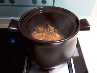 10、红烧鸭肉,把炒好的老鸭倒入砂锅加入开水,水量没过食材